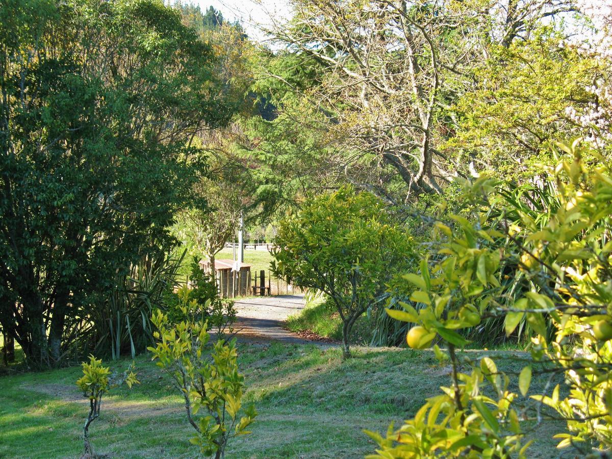 Corru Gate Villa Mapua Dış mekan fotoğraf